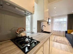 Deribasovskaya Center Apartment