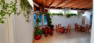 Hostal La Mirada del Solitario George