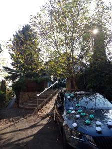 Attilas Guest House