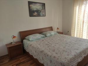 Apartman Budimir1