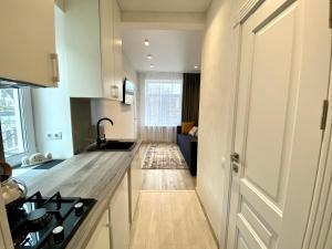 Deribasovskaya Center Apartment