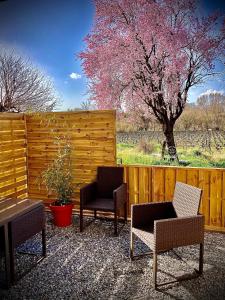 Appartements Lodging Gite Au Milieu des Vignes & des Etoiles : photos des chambres