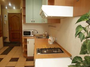 Apartment in the city center