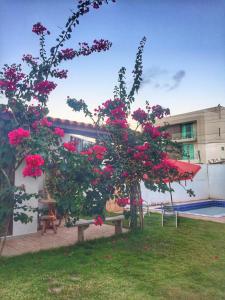 Casa do Francês Temporada