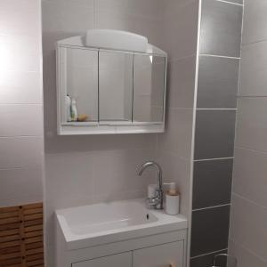 Appartements Le chalet des neiges : photos des chambres