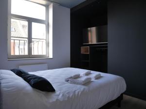 Appartements Le Chat Qui Dort - Vieux Lille III : photos des chambres