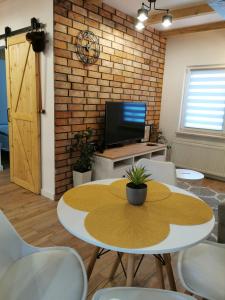 Apartament ALPa Kudowa Zdrój