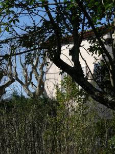 Le charme dune vieille bastide provençale