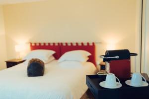 Maisons d'hotes Clos Celeste - campagne d Etretat avec piscine et spa : photos des chambres
