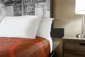 King Room - Non-Smoking room in Super 8 by Wyndham San Antonio Airport North