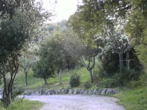 B&B Valli Verdi img3