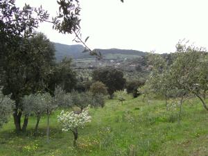 B&B Valli Verdi img6