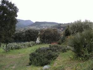 B&B Valli Verdi img9