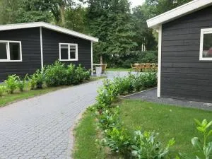 Nice house with a garden, surrounded by forest - Blesdijke