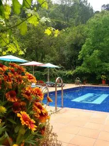 Apartamentos El Parral - El Valle