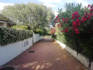 Casa vacanze Villa Rosa img10