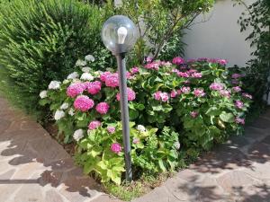 Casa vacanze Villa Rosa img76