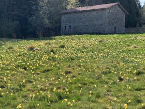 Maisons de vacances Gite 