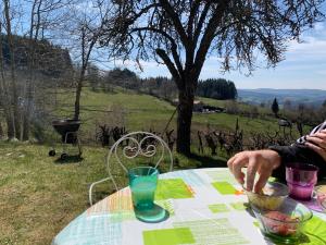 Maisons de vacances Gite 