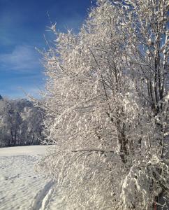 Appartements A place 2 be, Megeve centre : photos des chambres