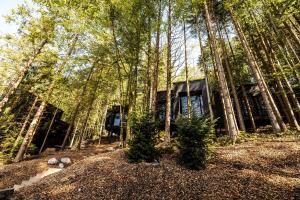 Hotel Fischerwirt Natur WaldSPA