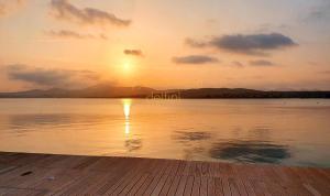 Appartamento delfini sul mare img16