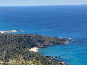 Sa dommo de Mammai img38