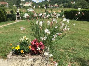 Maisons de vacances Gite cottage Perce neige riviere Lizon : photos des chambres