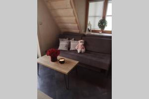 Apartament Pająkówka