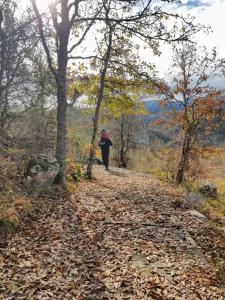 Mystic Lake Zagori Greece