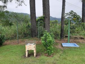 Refúgio na natureza- Reserva do Sahy