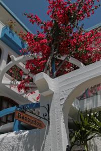 Folia Apartments Chania Greece