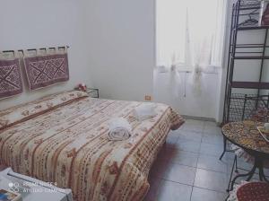 I colori di Iglesias img15