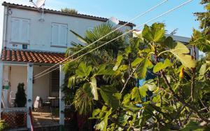 Apartmen Grdan in Porat