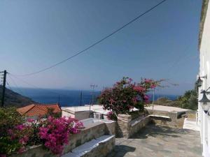 Old Stone Villa Palaiopolis Andros Andros Greece