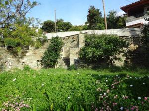 Old Stone Villa Palaiopolis Andros Andros Greece