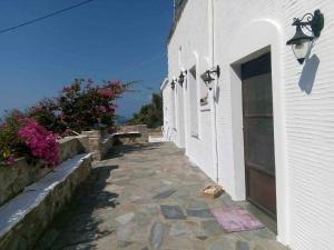 Old Stone Villa Palaiopolis Andros Andros Greece