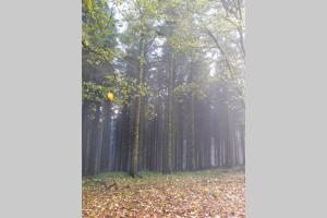 Upper Heath Farm - Stable Cottage Ludlow