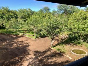 Luxury Treetop Lodge