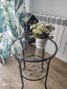 Apartamenty Pod Sosnami Ostróda Międzylesie 6os