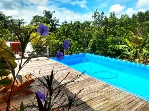 Pousada Aton na triplice fronteira do Amazonas - 莱蒂西亚