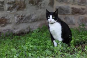 Le Clos du Théron, chambre dhôte
