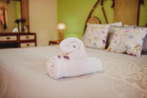 Gran Misiones Tequisquiapan