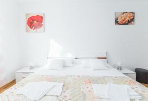 Apartment Budimir