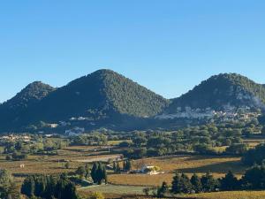 Appartements Le Petit Jardin : photos des chambres