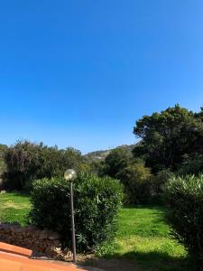 Appartamento con Vista Giardino