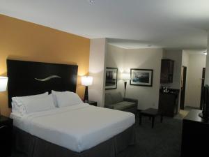 Standard King Room with Roll-in Shower - Mobility Accessible room in Holiday Inn Express Hotel and Suites Fort Stockton an IHG Hotel