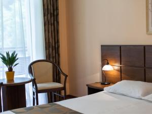 Double Room with Balcony and Mountain View room in Pensiunea Retezat