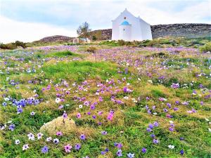 Liviko View Lasithi Greece