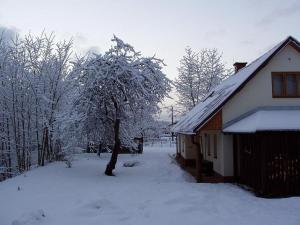 Family House Dolni Lanov